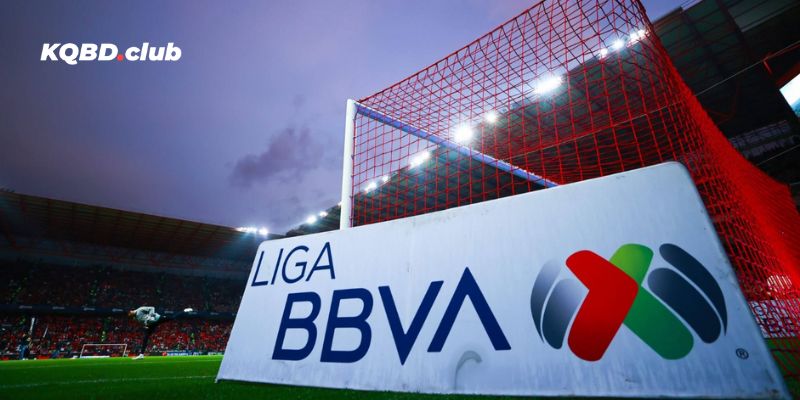 Tổng hợp chi tiết kết quả thi đấu cúp VĐQG Mexico 2025/2026