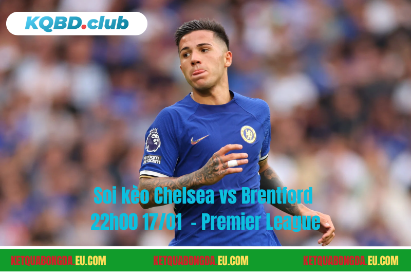 Đội hình dự kiến trước trận Chelsea vs Brentford Đội hình dự kiến trước trận Chelsea vs Brentford